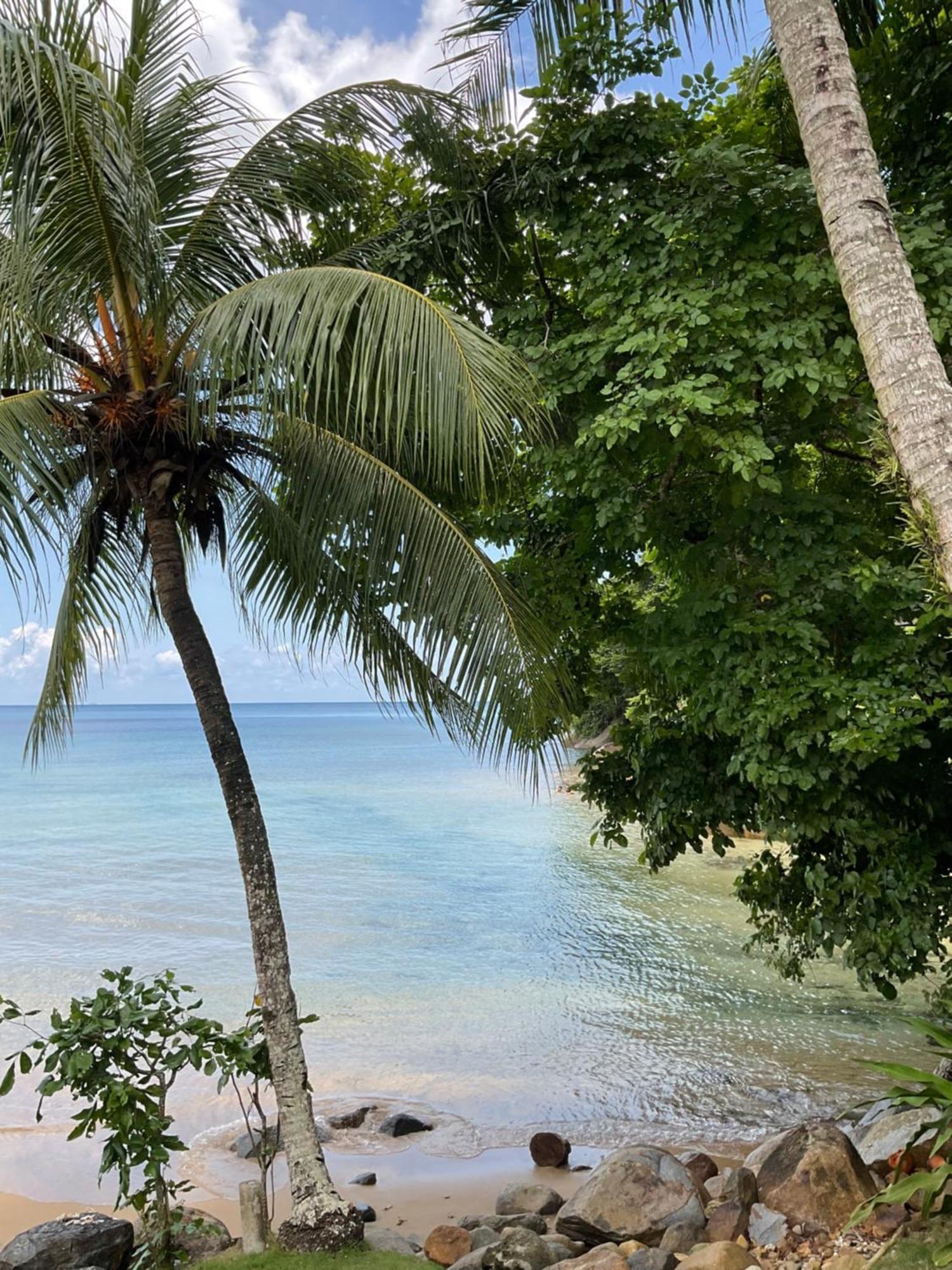 Abc Chalet Tioman Kampong Ayer Batang 외부 사진