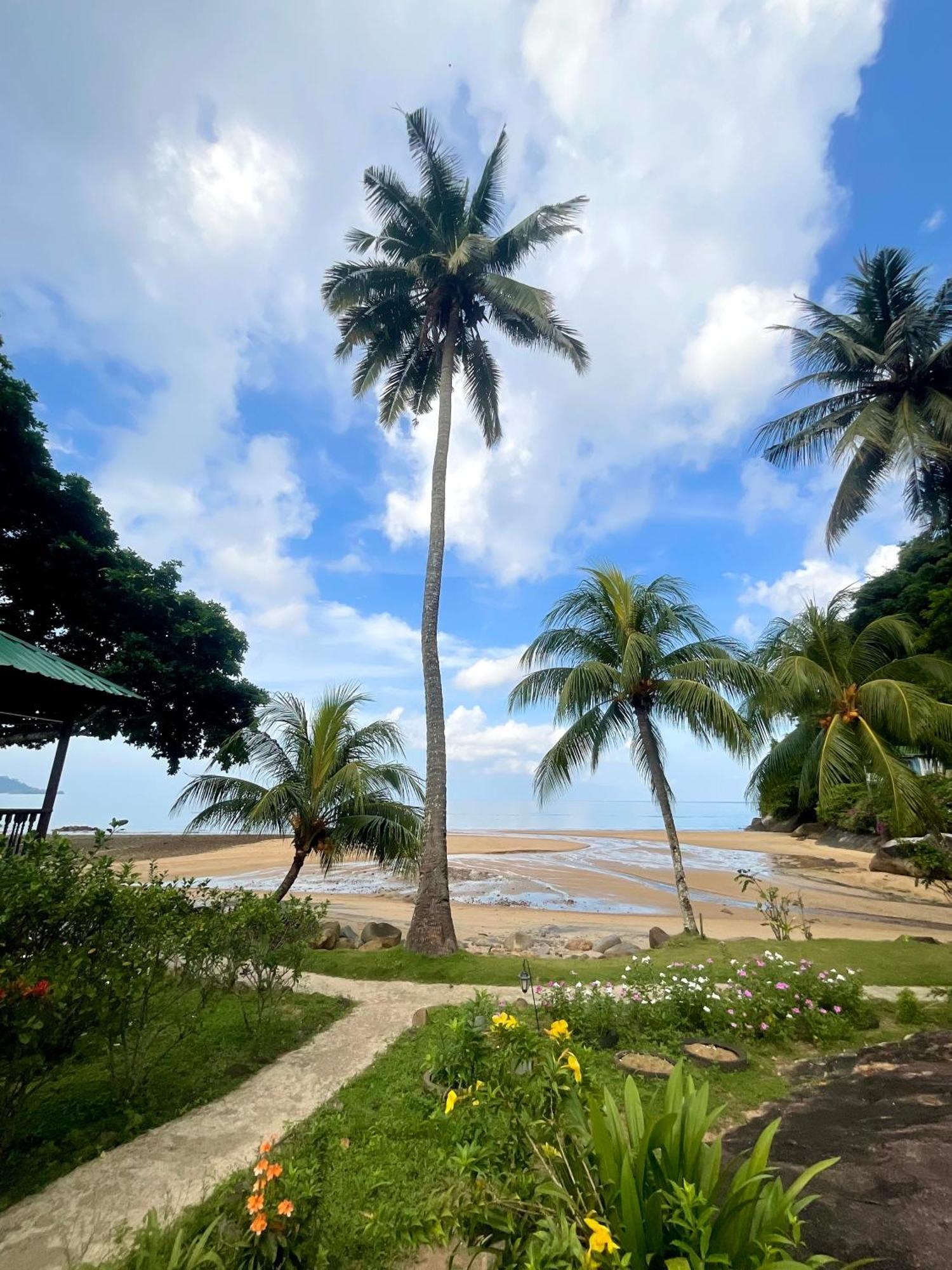 Abc Chalet Tioman Kampong Ayer Batang 외부 사진