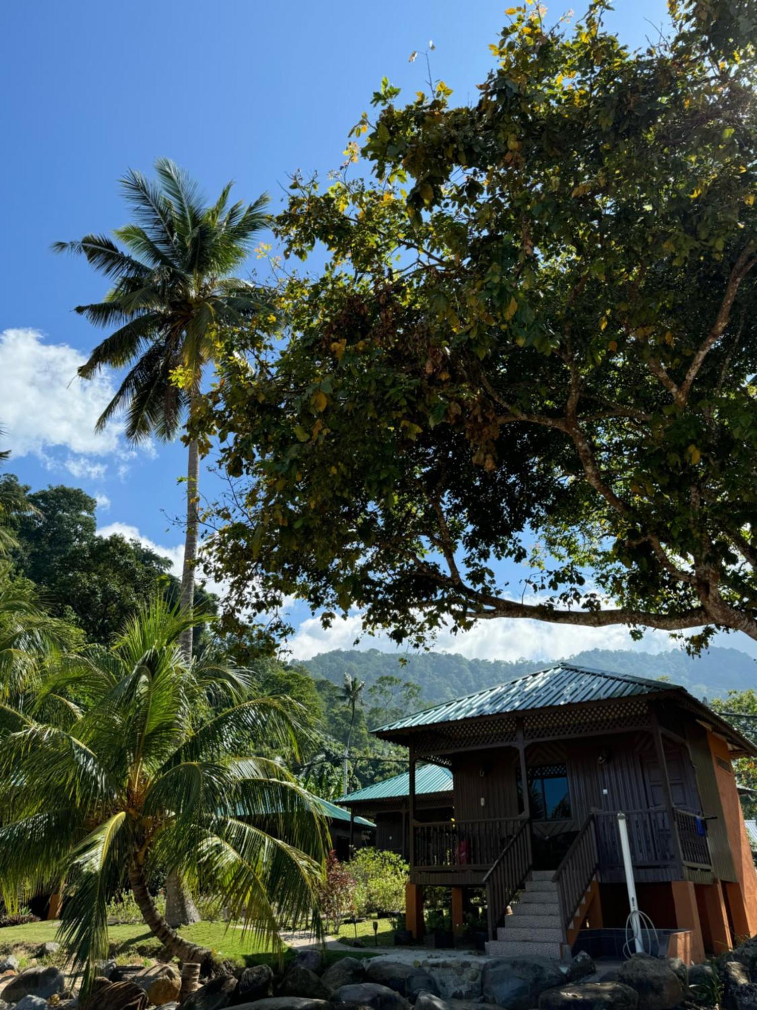 Abc Chalet Tioman Kampong Ayer Batang 외부 사진