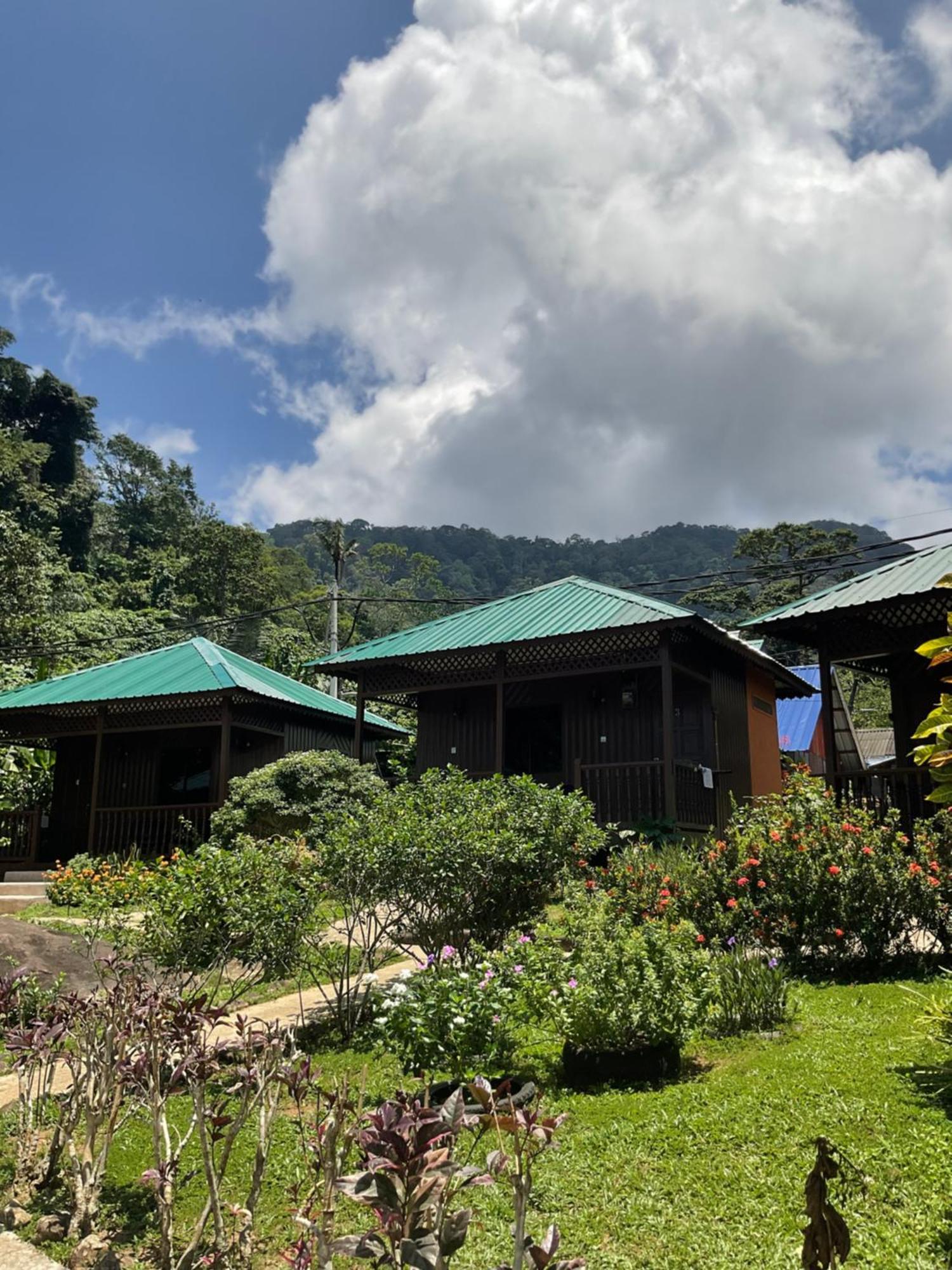 Abc Chalet Tioman Kampong Ayer Batang 외부 사진